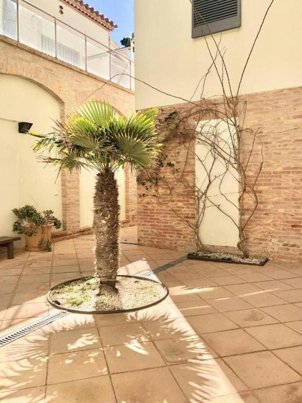 Apartamentos Stella Maris Roses Exterior photo